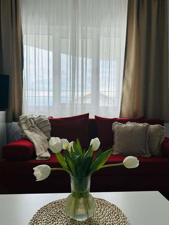 Vila Primavera Vama Veche Eksteriør billede